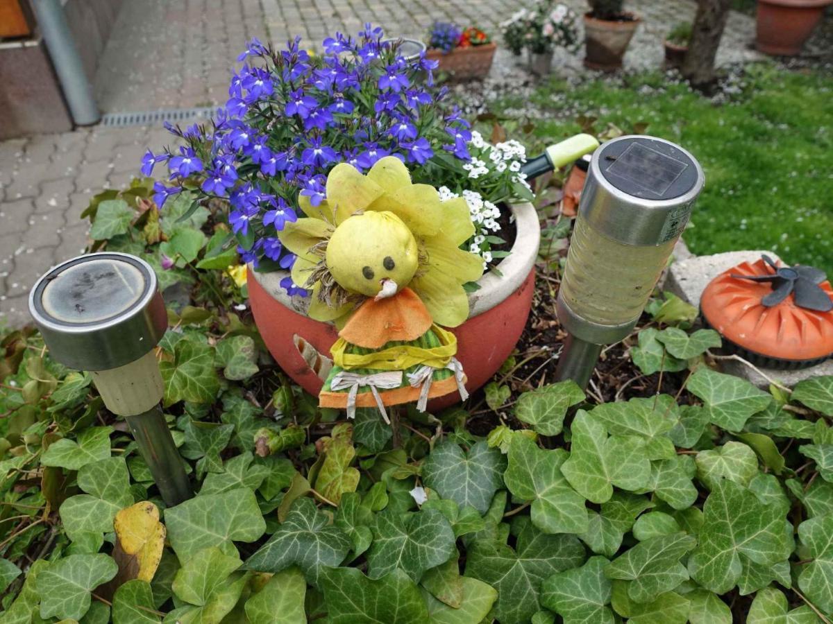 Holiday Home In Siofok - Balaton 42696 المظهر الخارجي الصورة